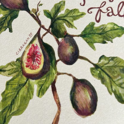 Don't Let Your Figs Fall | Limited Art Print